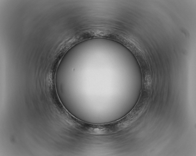 X0000112460506200908311332