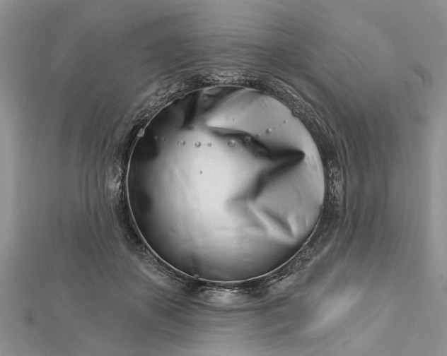 X0000112460507200908311332