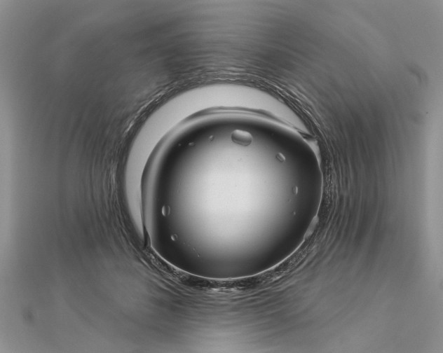 X0000112460508200908311332