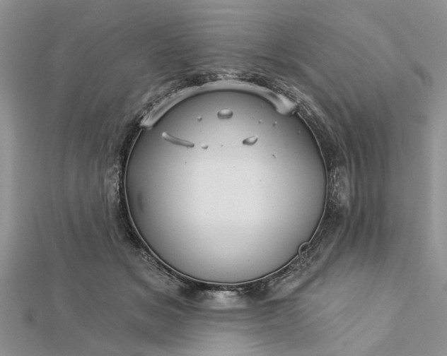 X0000112460509200908311332