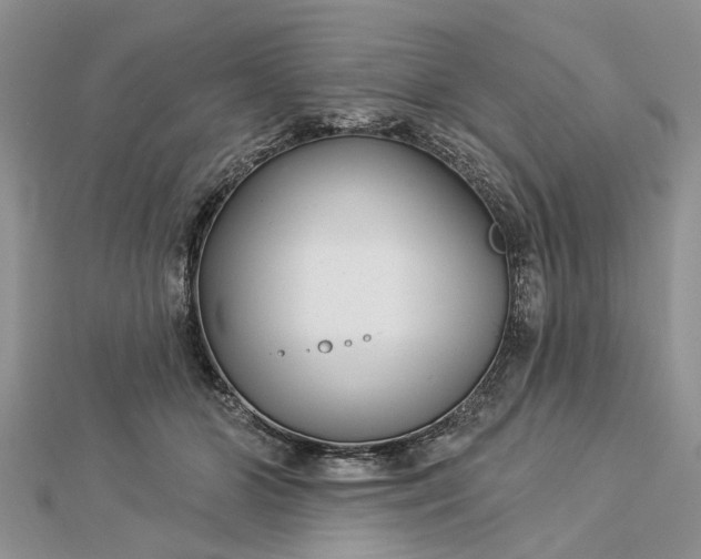 X0000112460510200908311332