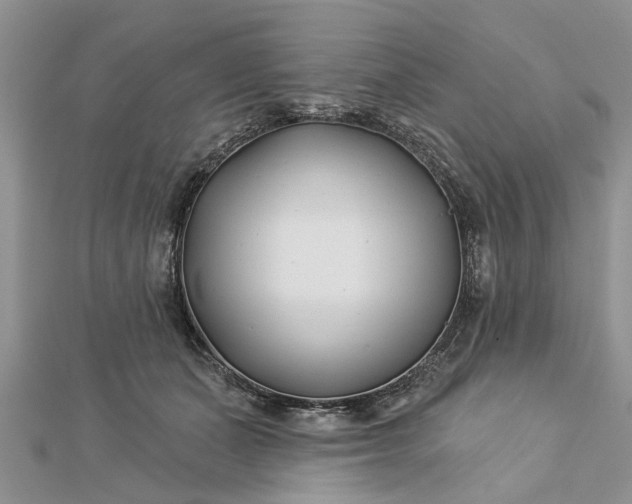 X0000112460511200908311332