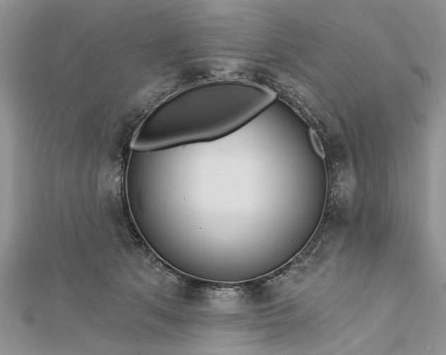 X0000112460513200908311332