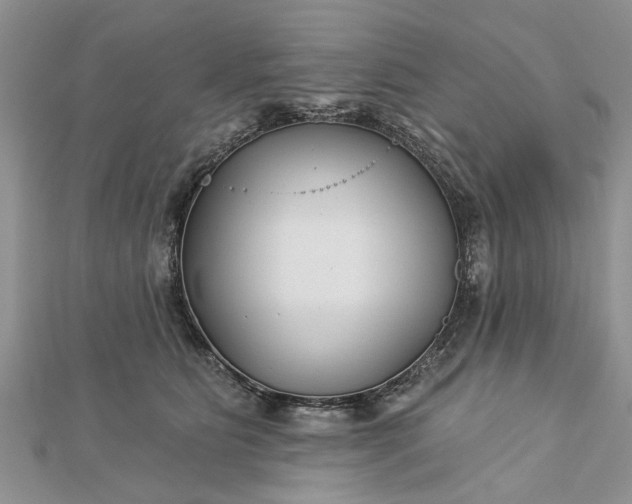 X0000112460515200908311332