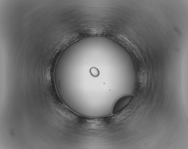 X0000112460516200908311332