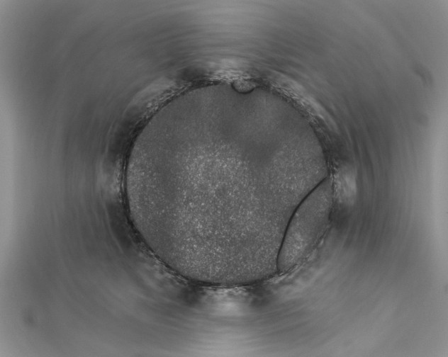 X0000112460517200908311332