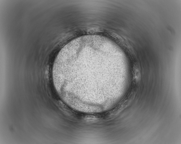 X0000112460519200908311332