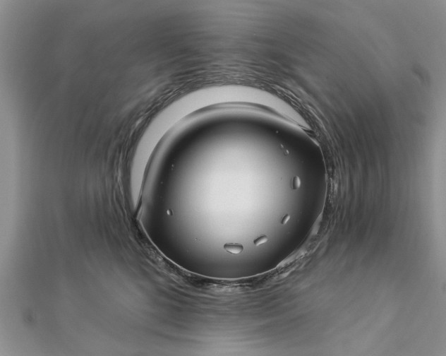 X0000112460520200908311332