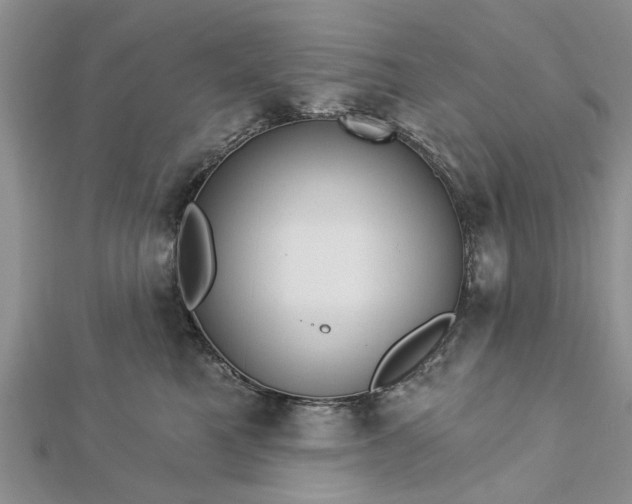 X0000112460521200908311332