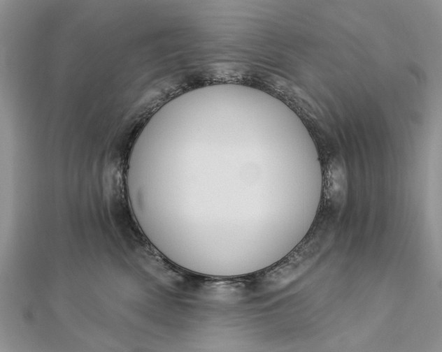 X0000112460522200908311332