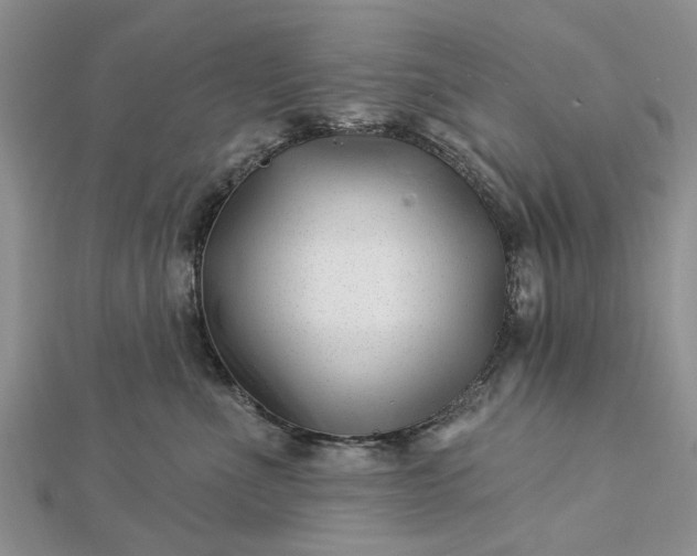 X0000112460523200908311332