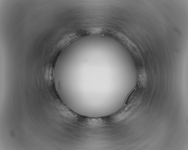 X0000112460525200908311332