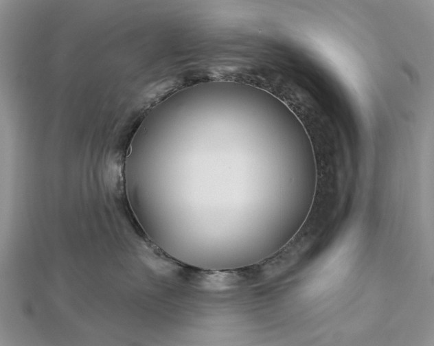 X0000112460527200908311332