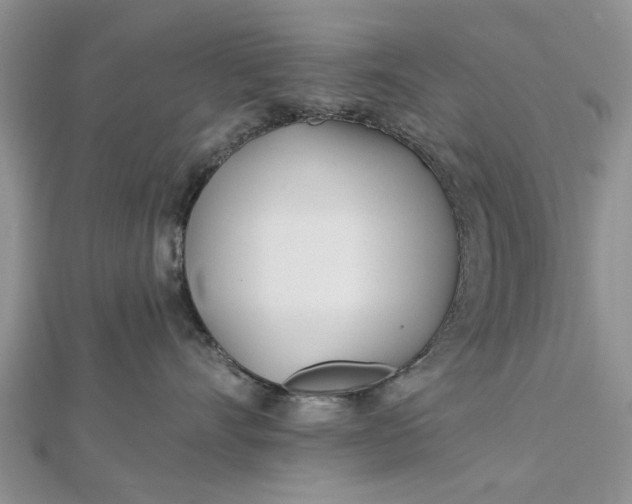 X0000112460528200908311332