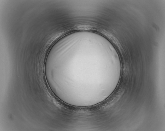 X0000112460529200908311331