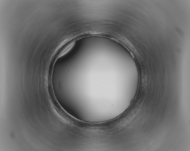 X0000112460530200908311331