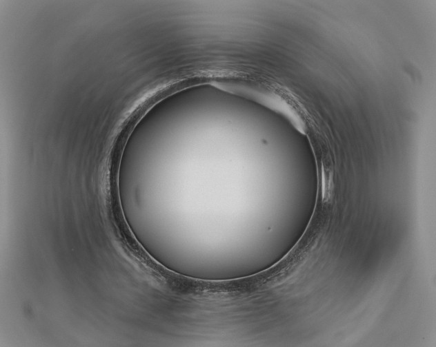 X0000112460531200908311331