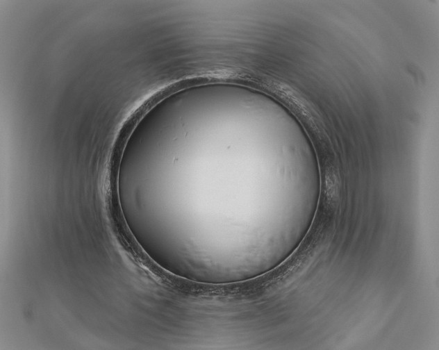 X0000112460532200908311331