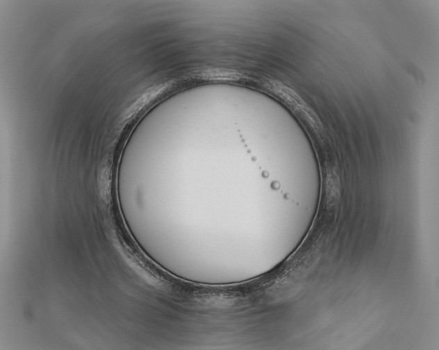 X0000112460533200908311331