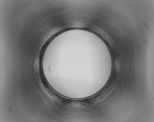 X0000112460534200908311331