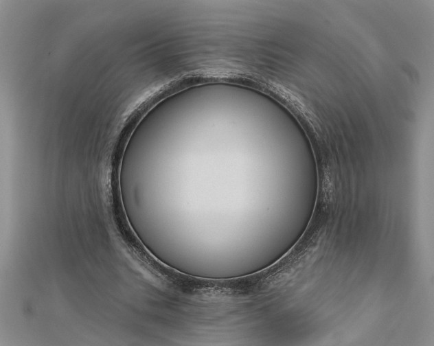 X0000112460535200908311331