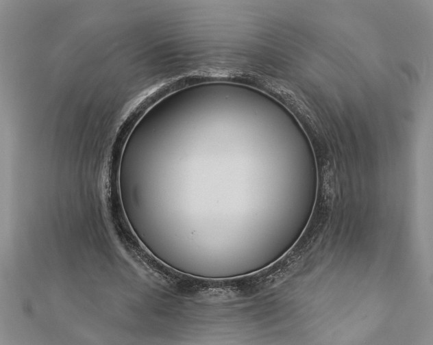 X0000112460536200908311331