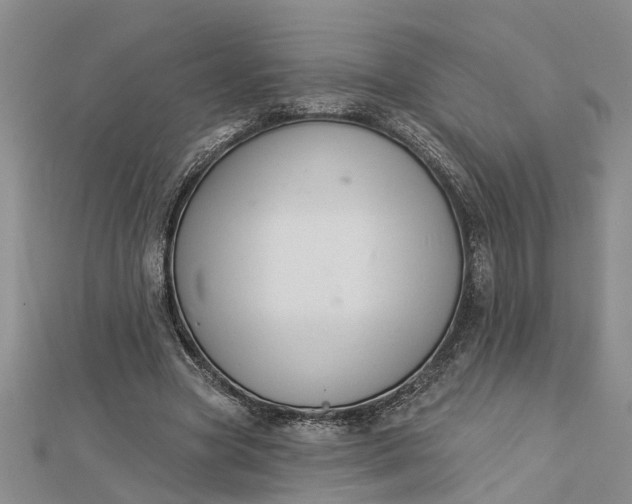 X0000112460537200908311331