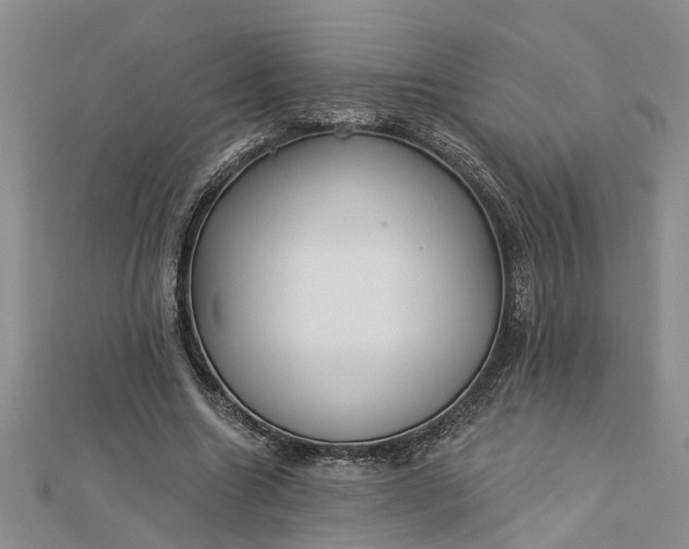 X0000112460538200908311331