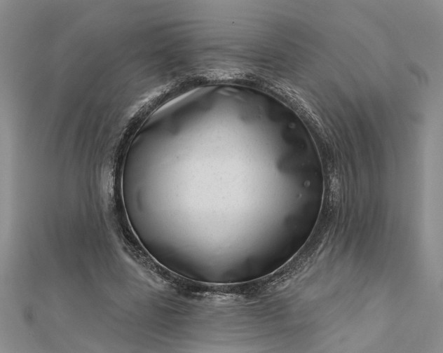 X0000112460539200908311331