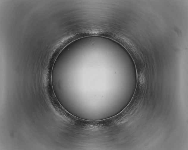 X0000112460540200908311331