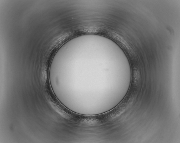 X0000112460541200908311331