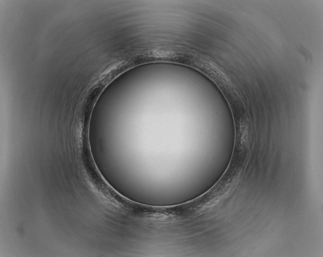 X0000112460542200908311331