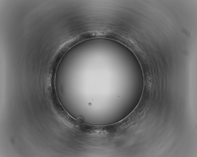 X0000112460543200908311331