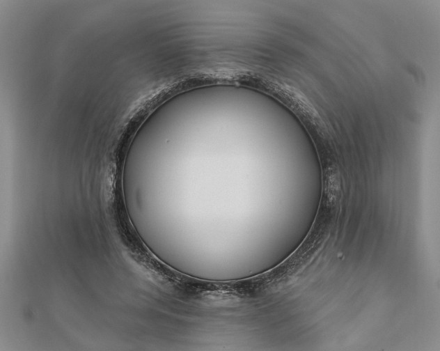 X0000112460544200908311331