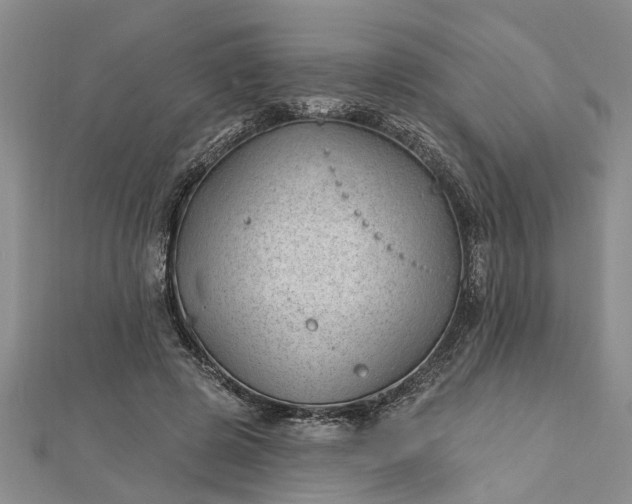 X0000112460545200908311331