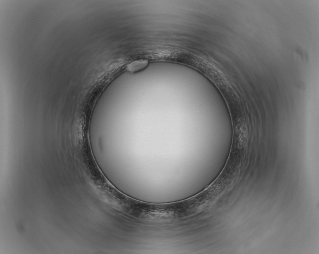 X0000112460546200908311331