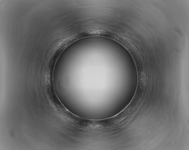 X0000112460547200908311331