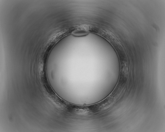 X0000112460548200908311331