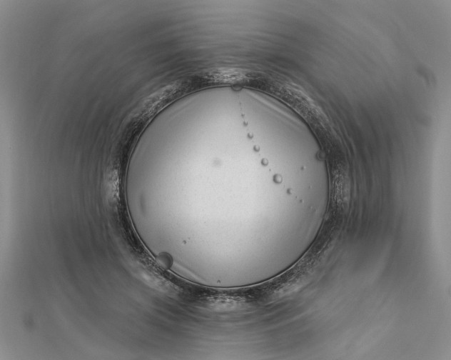 X0000112460549200908311331