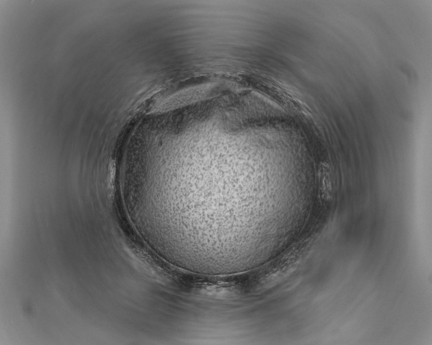 X0000112460550200908311331