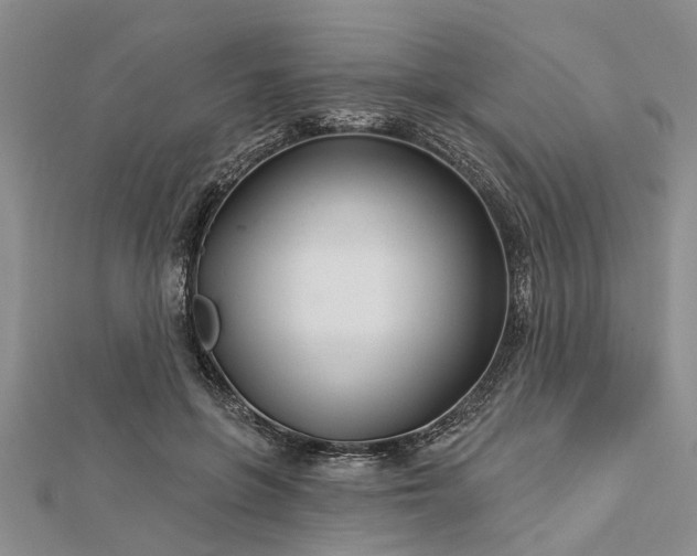 X0000112460551200908311331