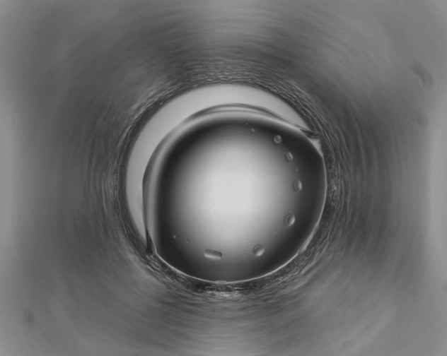 X0000112460552200908311331