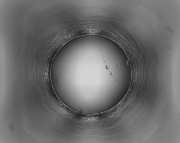 X0000112460553200908311331