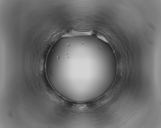 X0000112460554200908311331