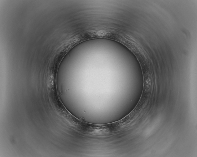 X0000112460555200908311331