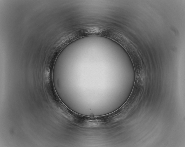 X0000112460556200908311331