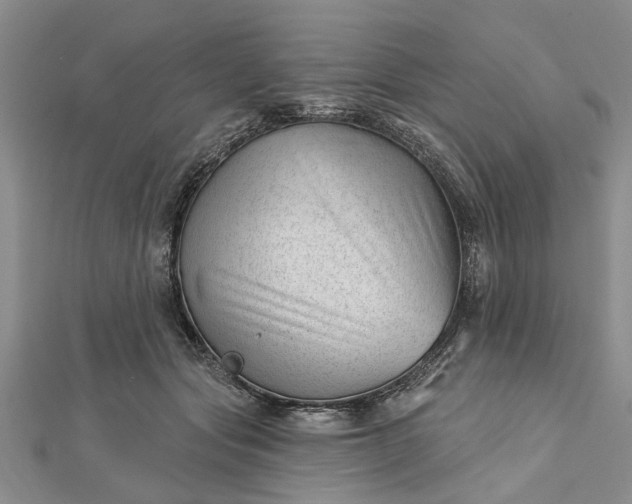 X0000112460557200908311331