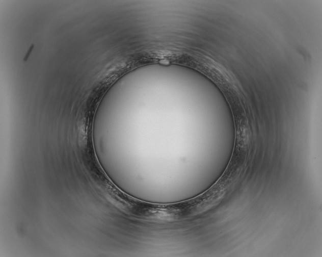 X0000112460558200908311331