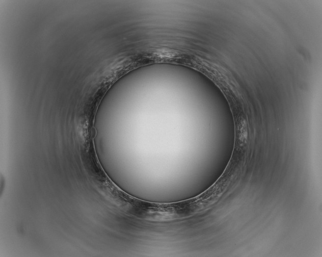 X0000112460559200908311331