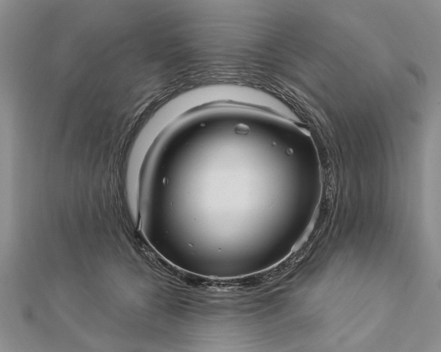 X0000112460560200908311331